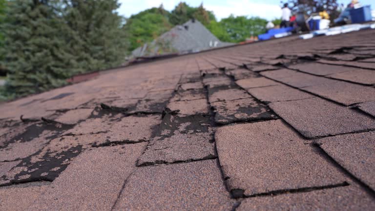 Fast & Reliable Emergency Roof Repairs in Clinton, MI